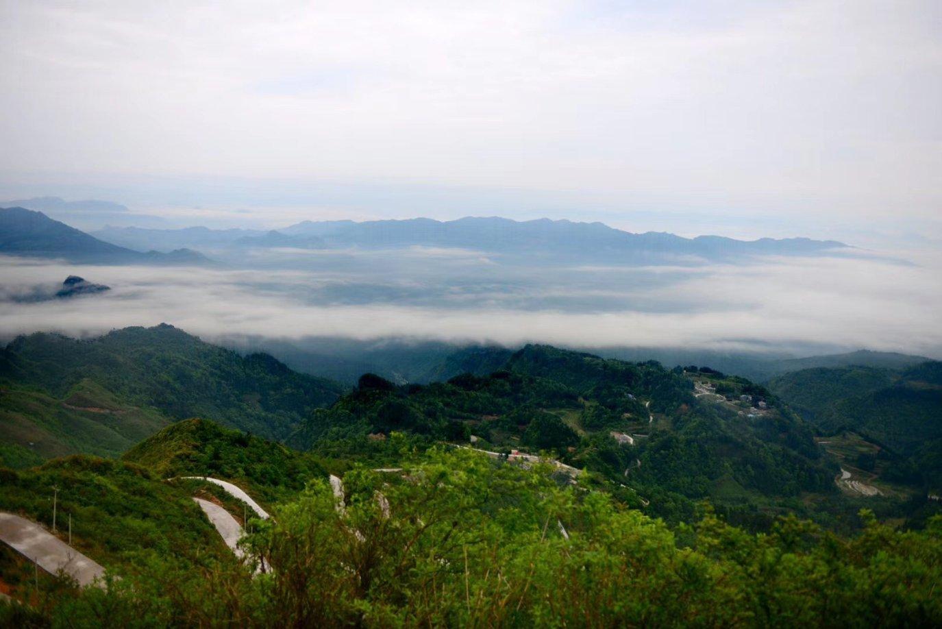 逆水寒